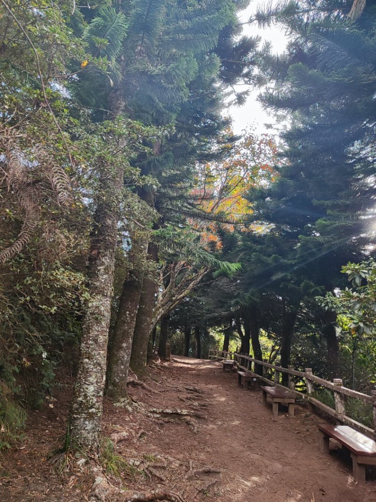 馬那邦山_2666845