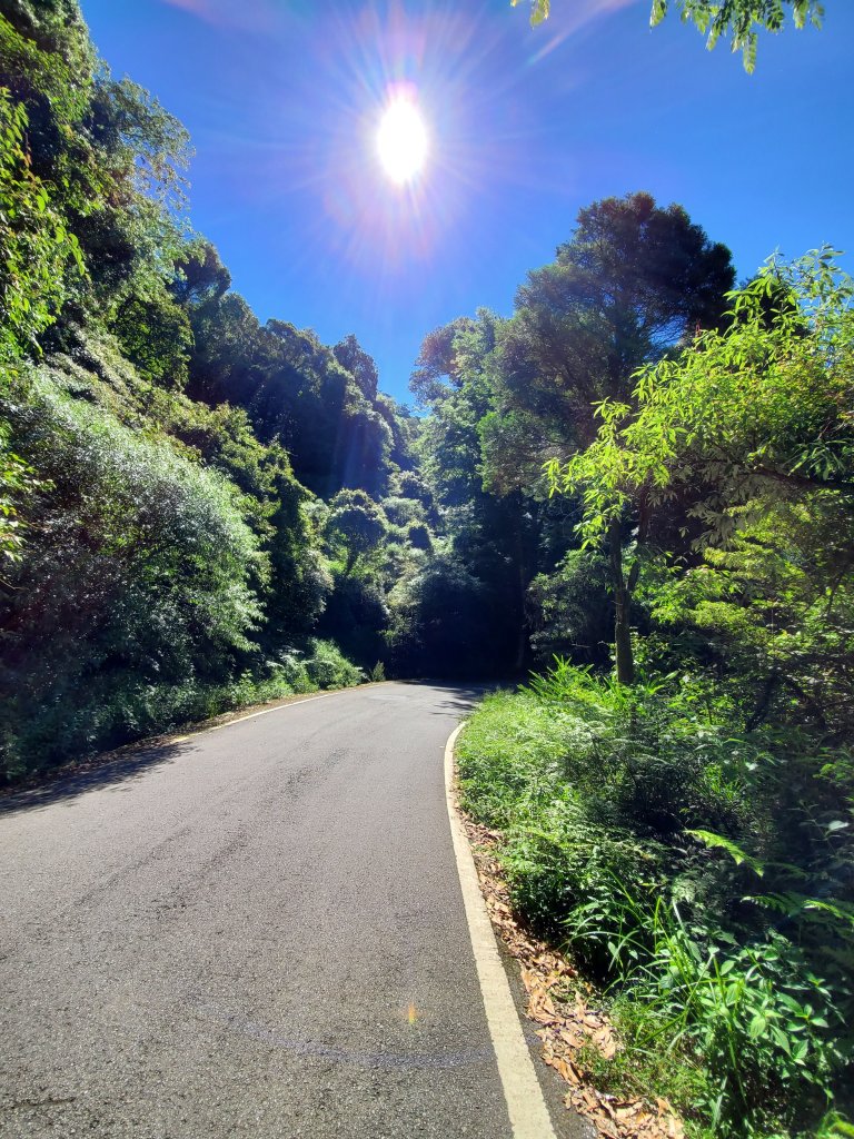 【台中 | 稍來山】秋天賞楓好去處_1029528