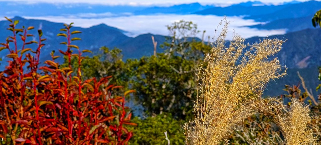 111.12.18 虎山-加里山-虎山（虎加虎縱走）_1959062