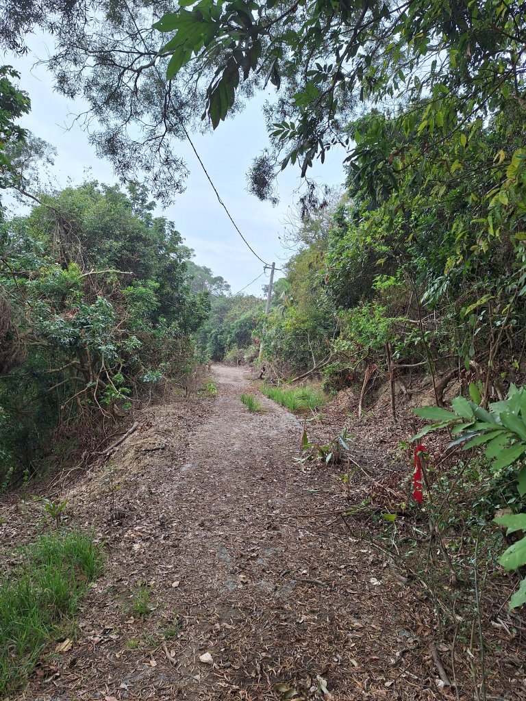 烏山嶺水利古道+鳥子嶺O型_2967513