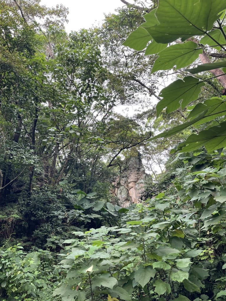 觀音山秘境_2634056