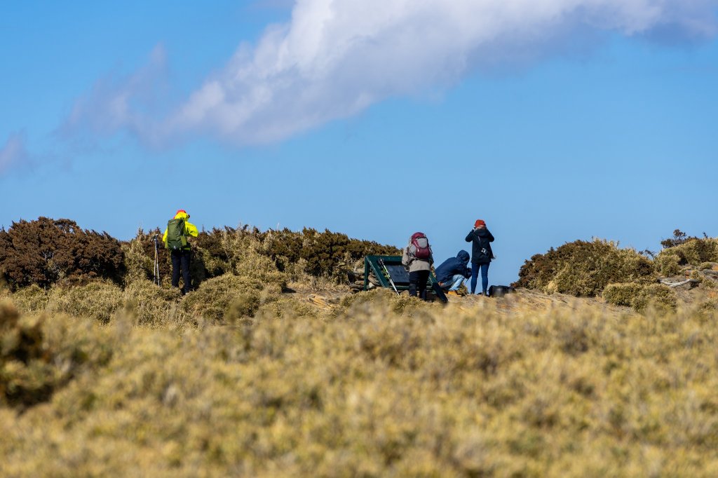 2020合歡南峰&北峰_817277