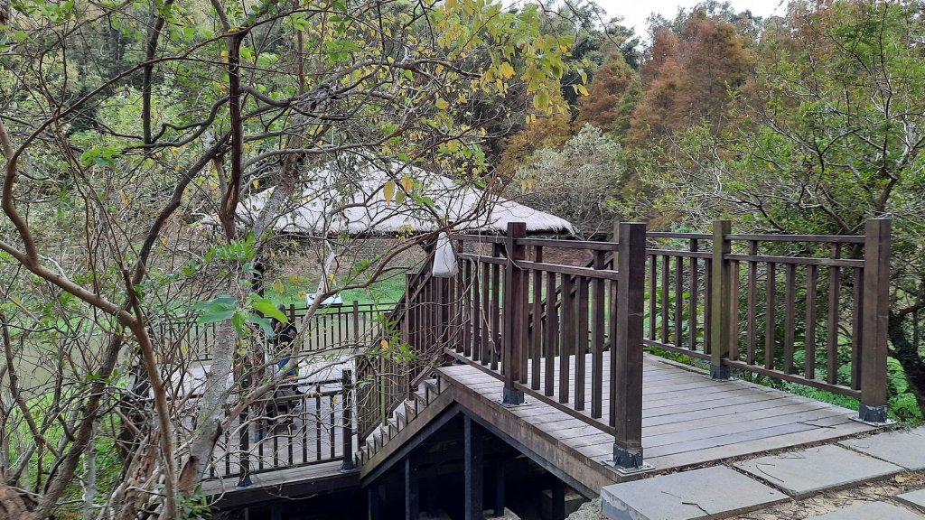 《新竹》城市微旅｜青青草原及香山濕地賞蟹步道20211212_1547102