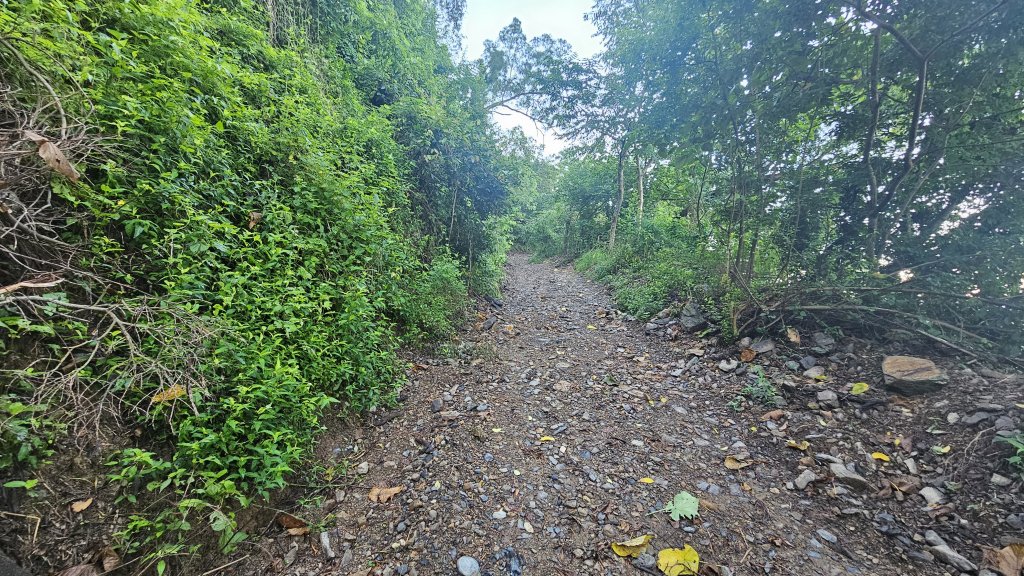 平步青雲尾寮山尋寶_2591471