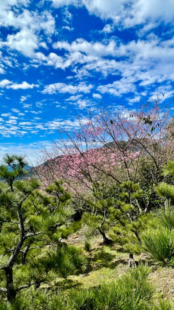 風尾步道-十八份拐圳步道-陽峰古道-頂坪櫻田-橫嶺古道-半嶺水圳古道-崧溪瀑布-天母圓環封面圖