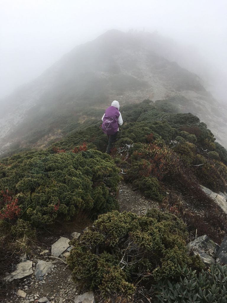 北一段 南湖前四峰_377532