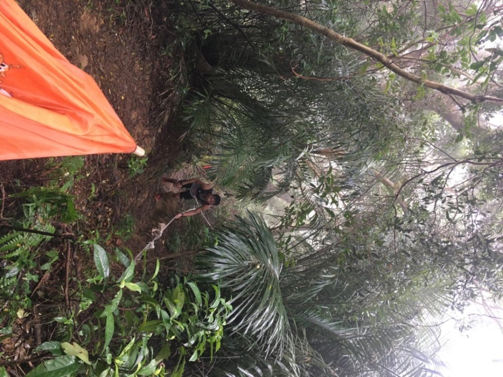 頭寮山o(慈湖、秘密花園咖啡☕️_2648987