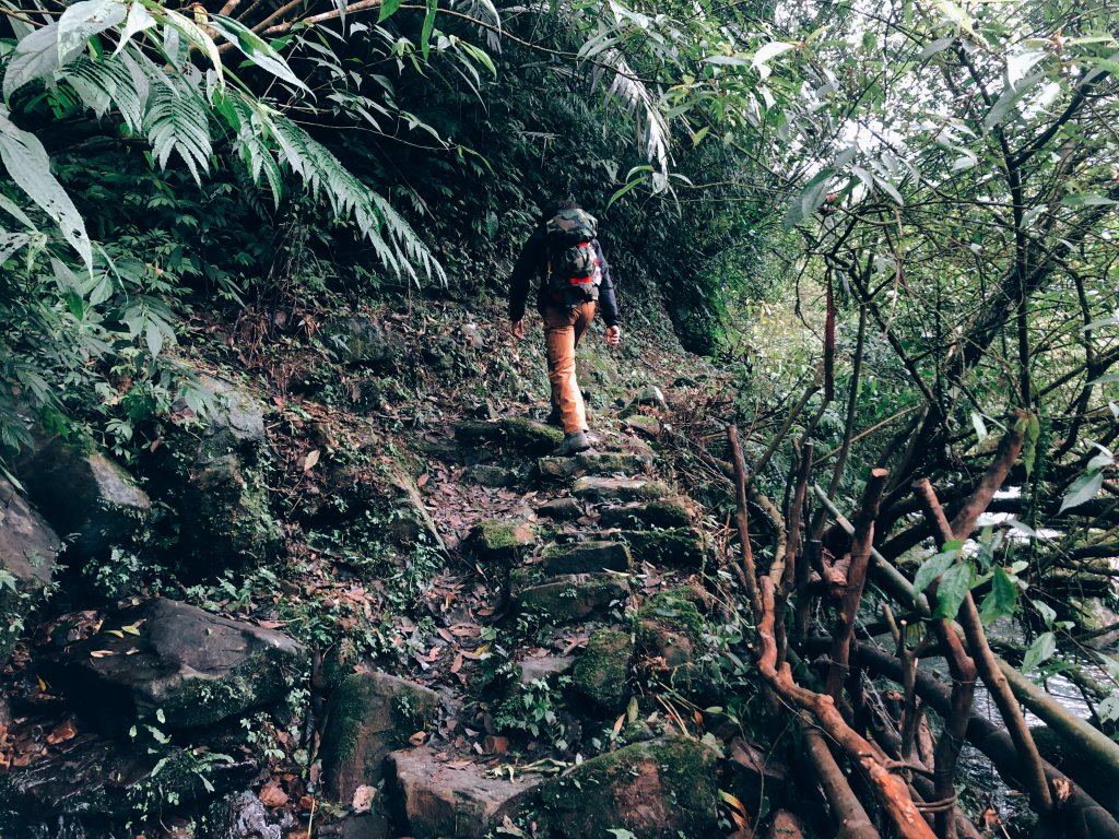 鴨寶｜淡蘭中路：十分─泰平_1243747