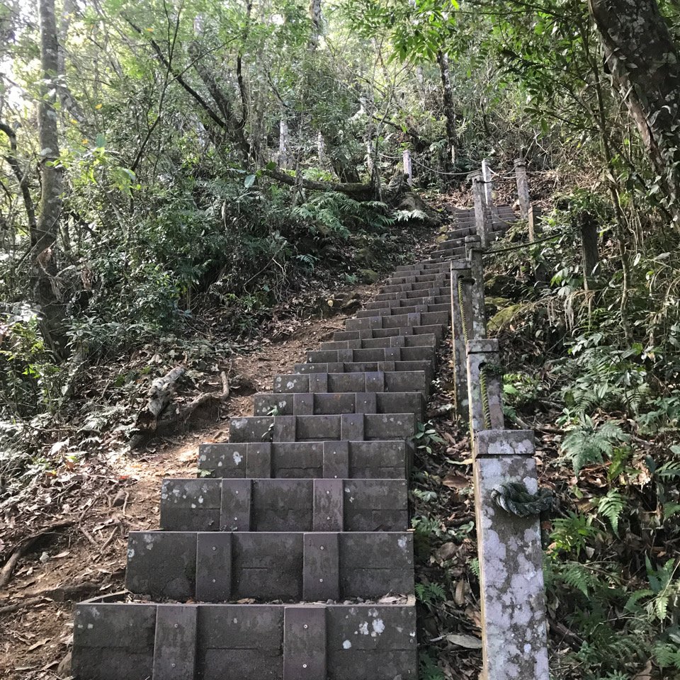 小百岳 馬那邦山 2023.02.09_2025132
