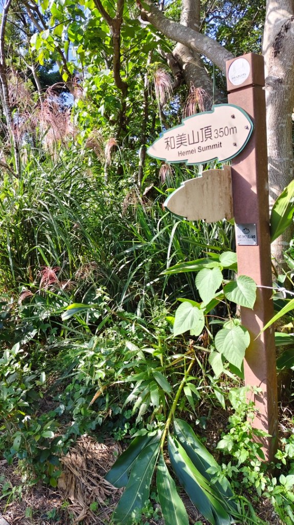 新店碧潭輕鬆走_2991991