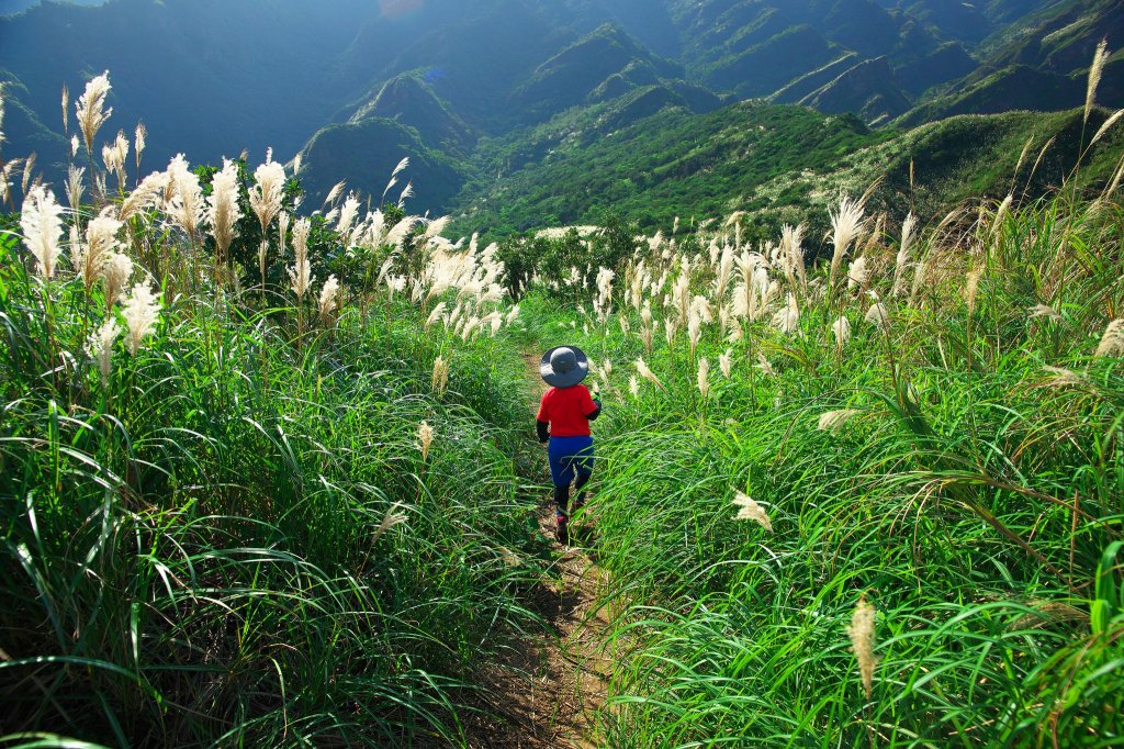 親子健行-劍龍鋸齒茶壺山_779570