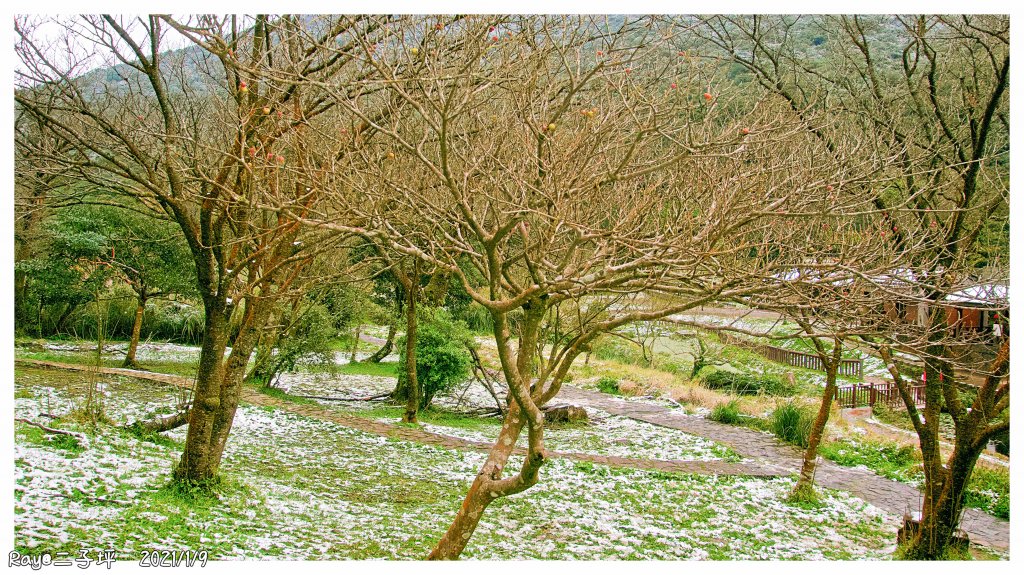 2021 大屯山之雪_1234751