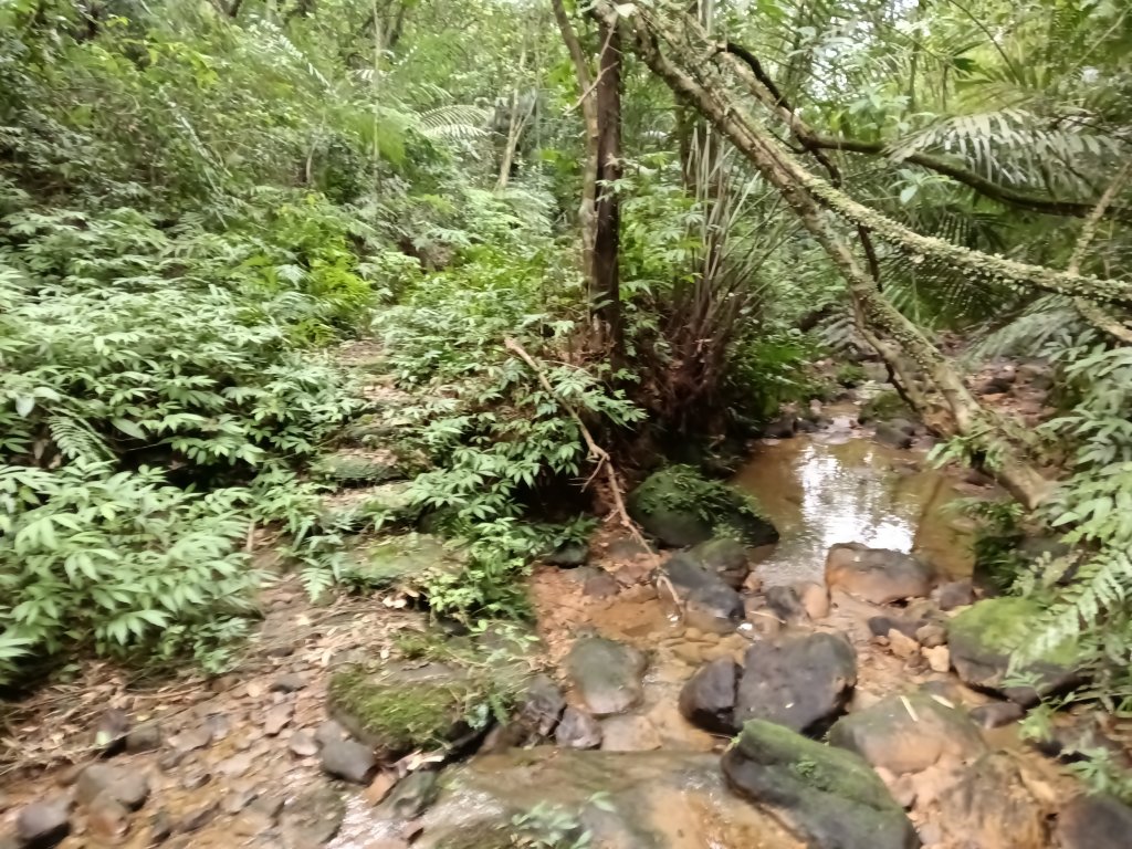 基隆市三層山+湳子大崙+淡基橫斷古道+面桶寮土地公_2982277