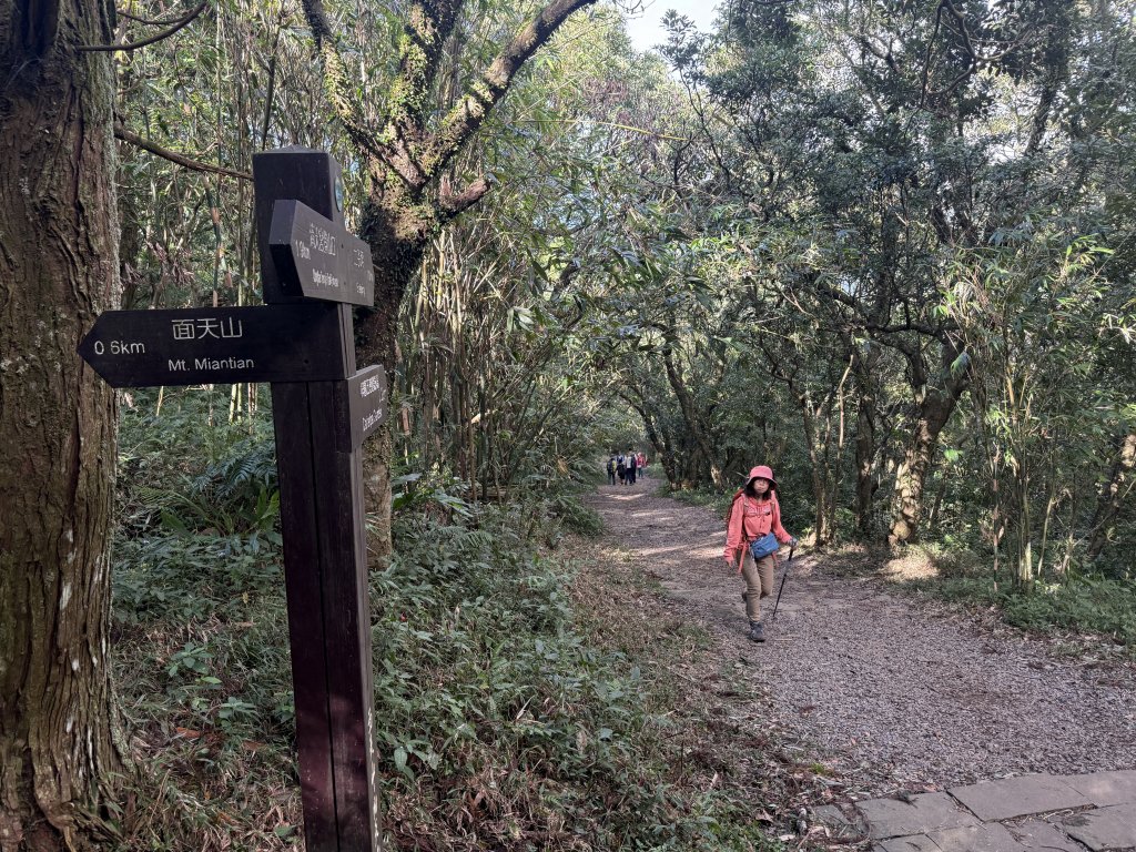 二子坪步道 經遊憩區 上面天山 20251108_2935045