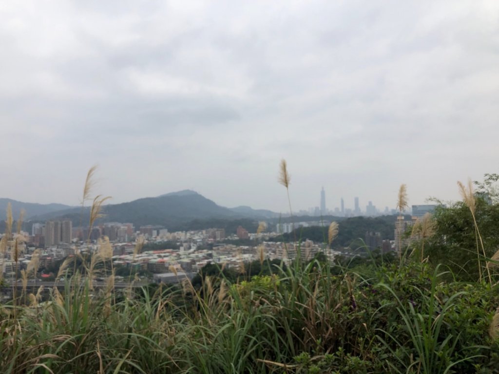 新北市汐止區小南港山3-828賞山櫻花_2010195