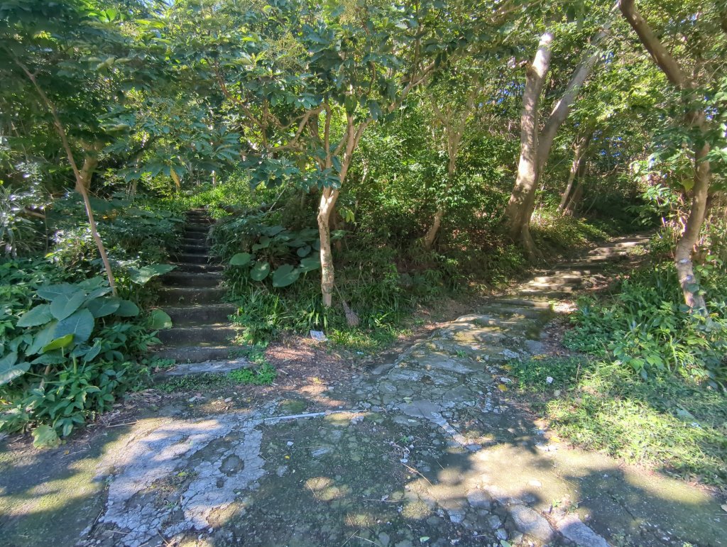 2026.01.25－微笑山線：【天上山系】烘爐地土地公段_2994575
