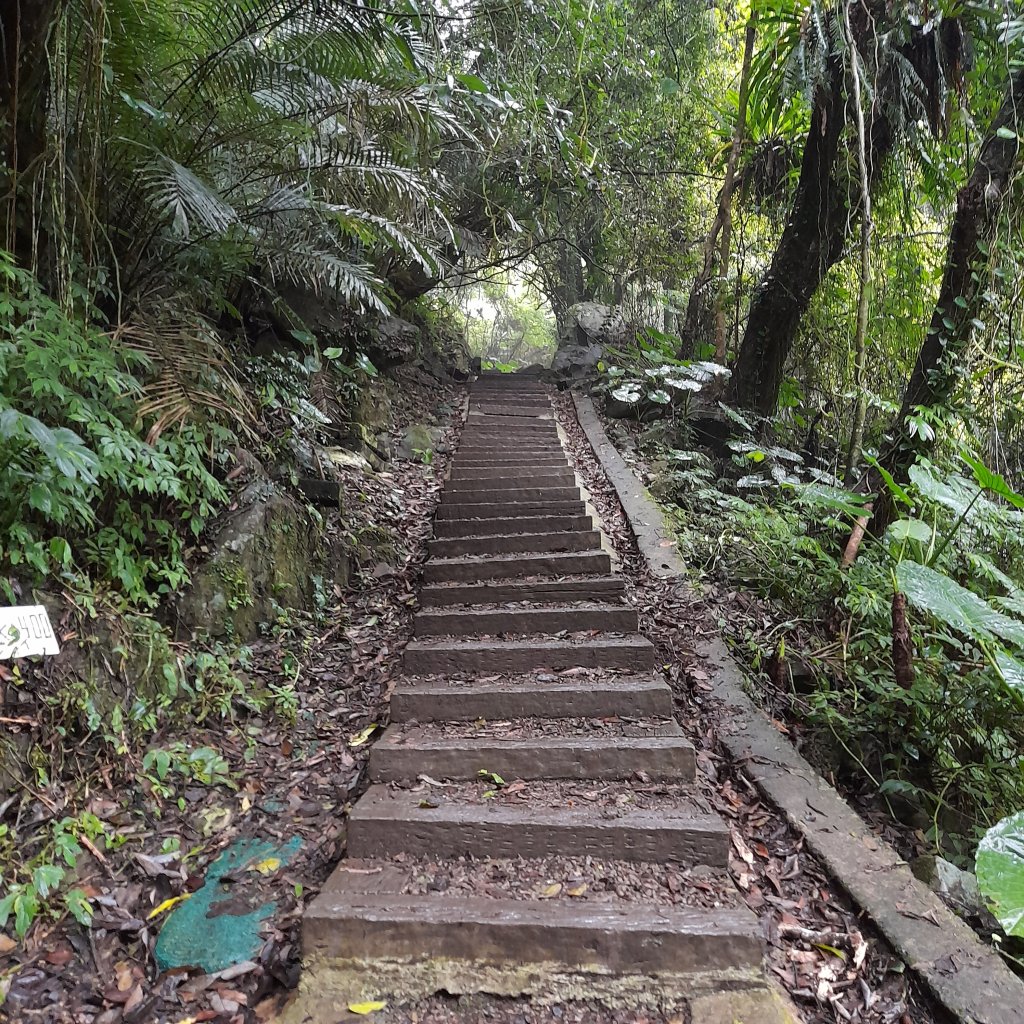 馬胎古道_2414146