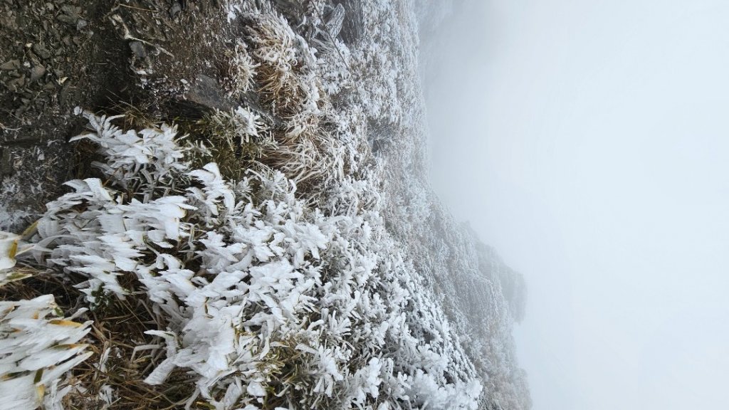 112.3.13～3.14 冰封奇萊主北_2074194