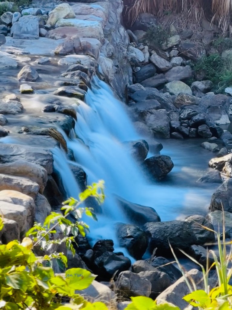 雪山坑登山步道尋巨人_2978230