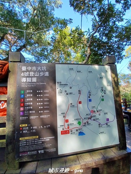 【台中北屯】台灣百大必訪步道。 全台少見的圓木步道。 大坑四號步道 ( 小百岳頭嵙山)_1958345