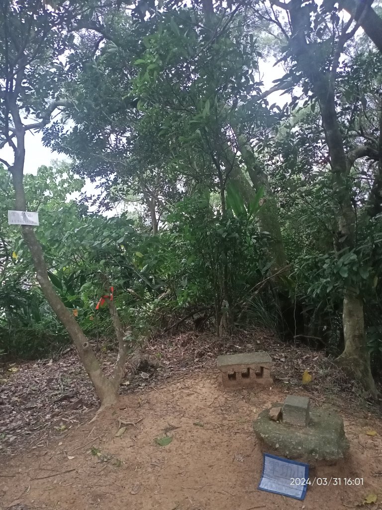 【臺北大縱走 6】中華科大→捷運麟光站、【小百岳集起來】#013 南港山 H375m_2470657