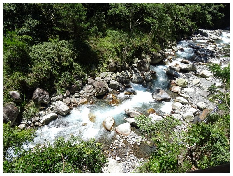 谷關/佳保台山登山步道_999770