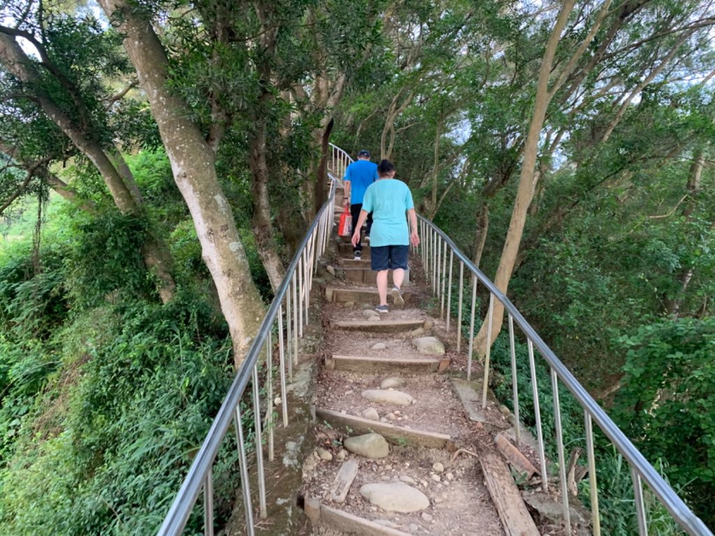田中森林公園步道_1028863