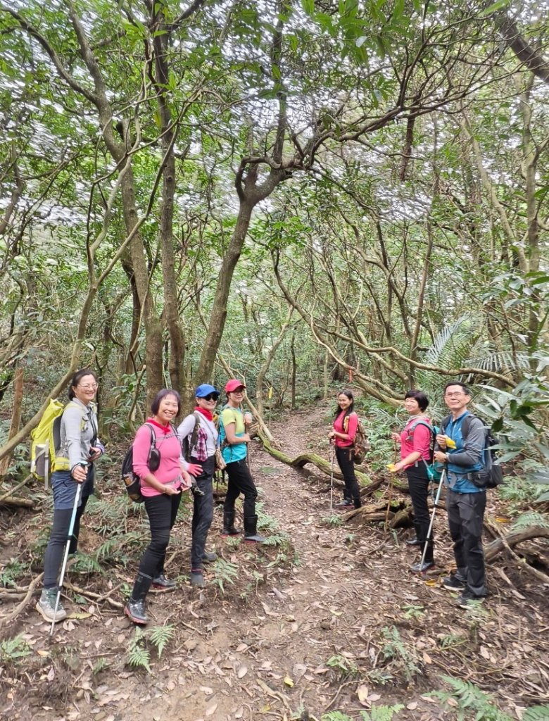 東勢大崙、東勢坑山、觀音湖山O走_2986314