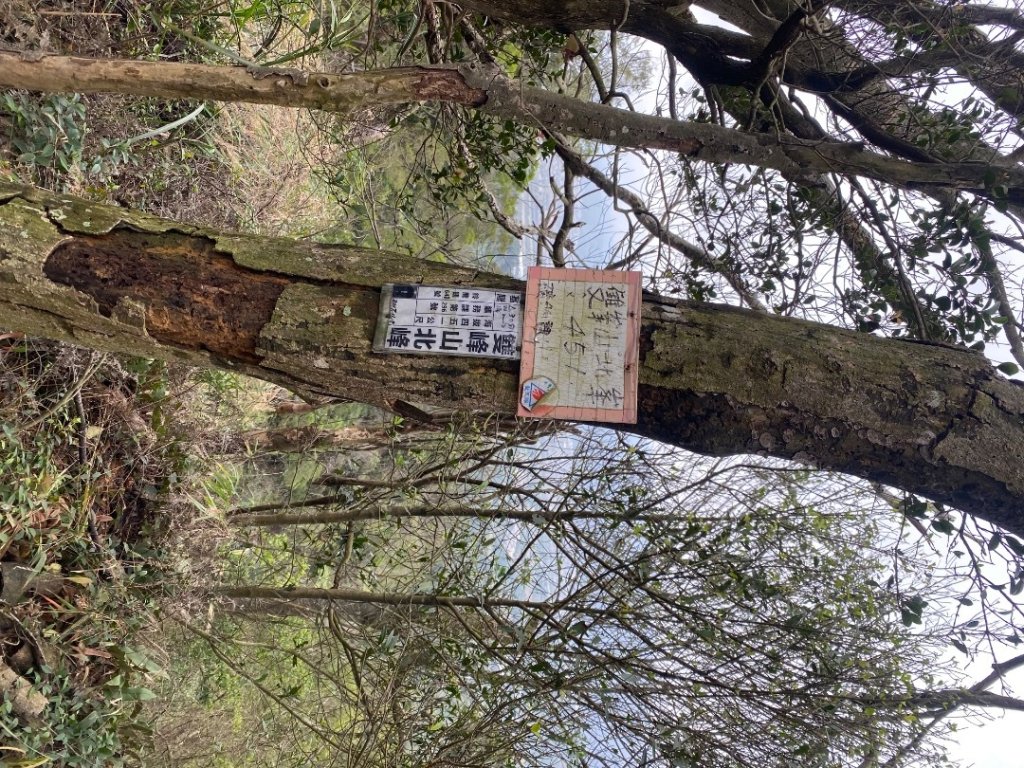 苗栗三義-三員縱走_2616468