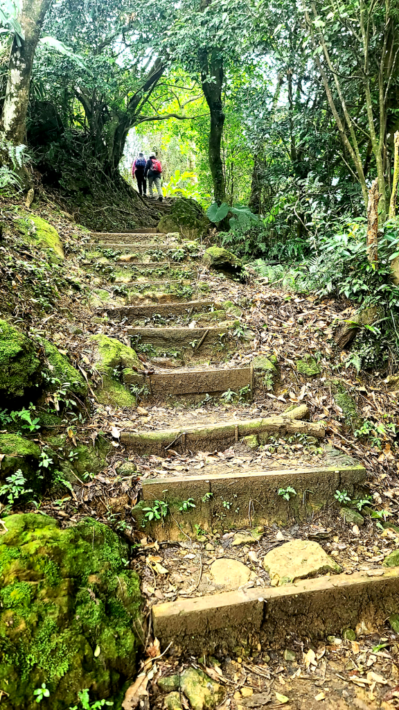 2025-0104 造鎮_五城山_天上山_三粒半_火焰山_慈惠堂_土城大潤發_2682129
