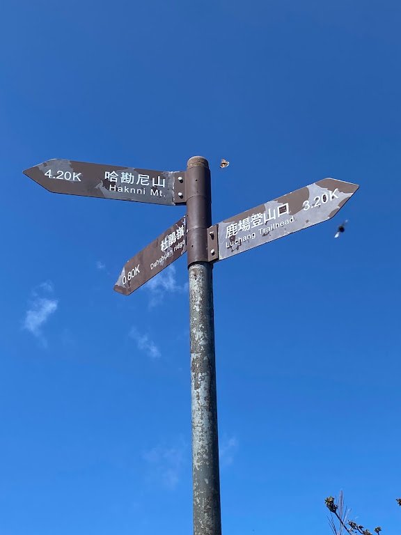 苗栗_大坪出發~杜鵑嶺/加里山_1485831