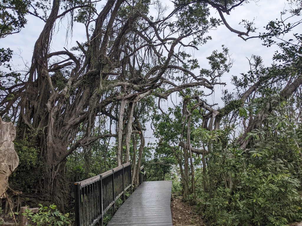 【台灣健行】壽山國家自然公園_2718925