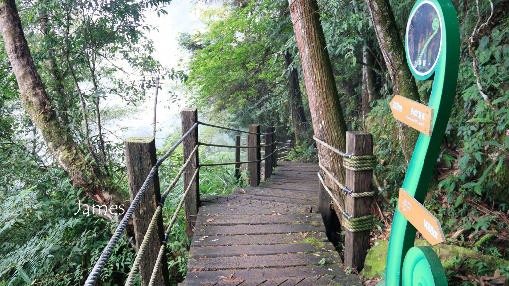 20180928青龍蕨類步道-青龍瀑布封面圖