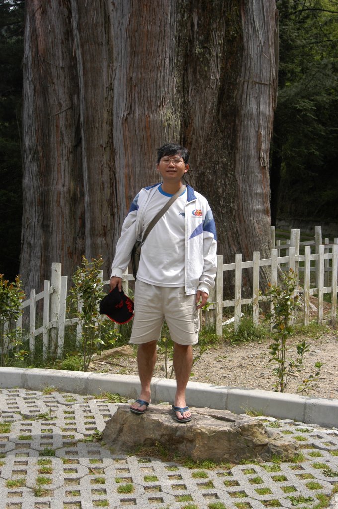 2004_0606_雪山神木與稍來山_2072920