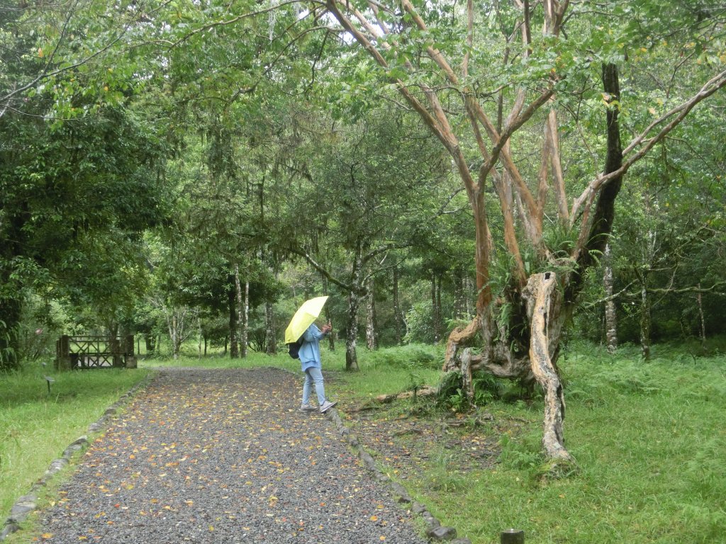 福山植物園_690991