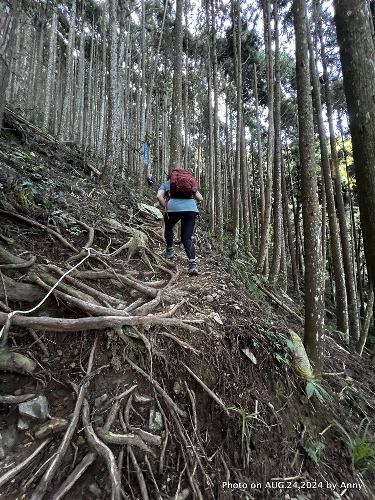 民都有山就是漂亮的夏天冷氣房_2582213