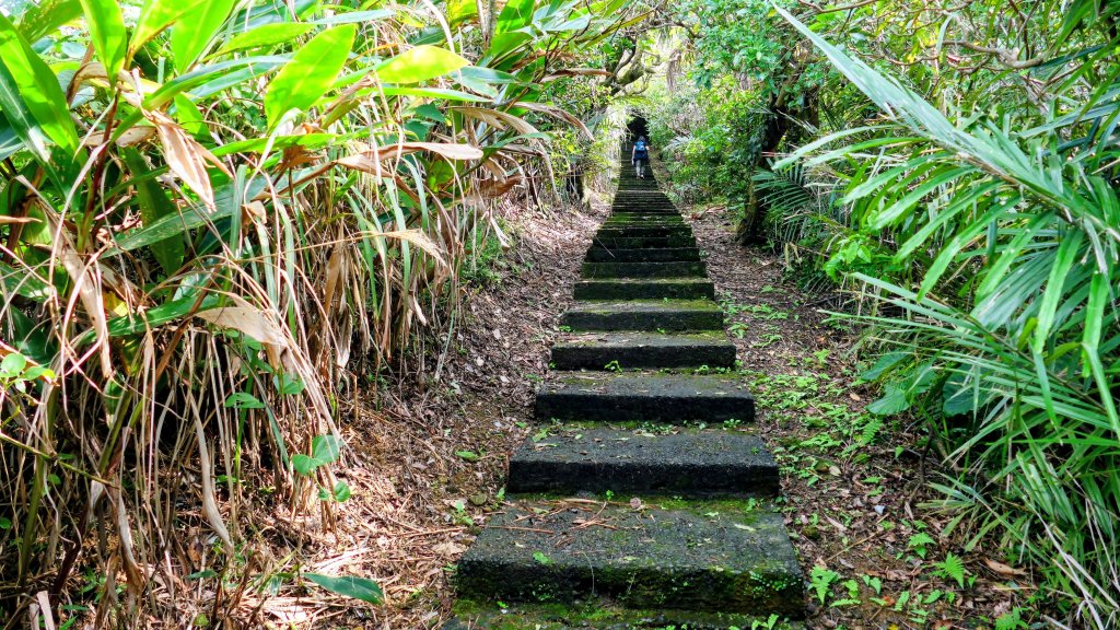 矽之長歌_2968733