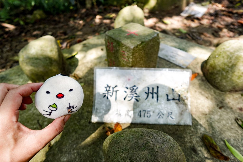 溪洲山小百岳｜福山巖登山步道_2898898