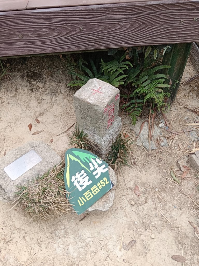 240402一日南投四顆小百岳（大橫屏山+九份二山+貓囒山+後尖山）_2470469