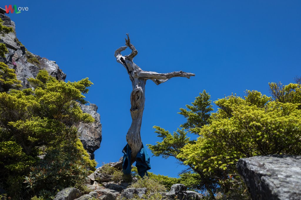 WL 愛旅行【大霸尖山】_626653