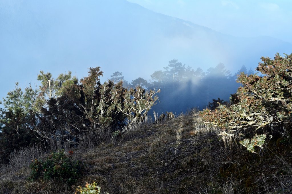 干卓萬群峰下武界_957718