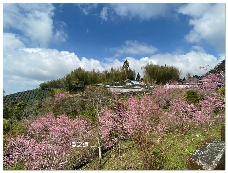 頂石棹步道群、樂野山、霹靂山 d型路線_2749229