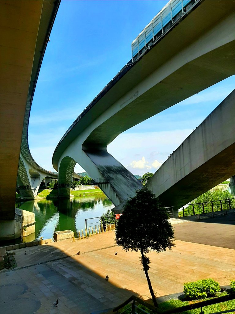 全臺齊步走｜碧潭、大安森林、大湖公園、淡水、花博、中正_2230256