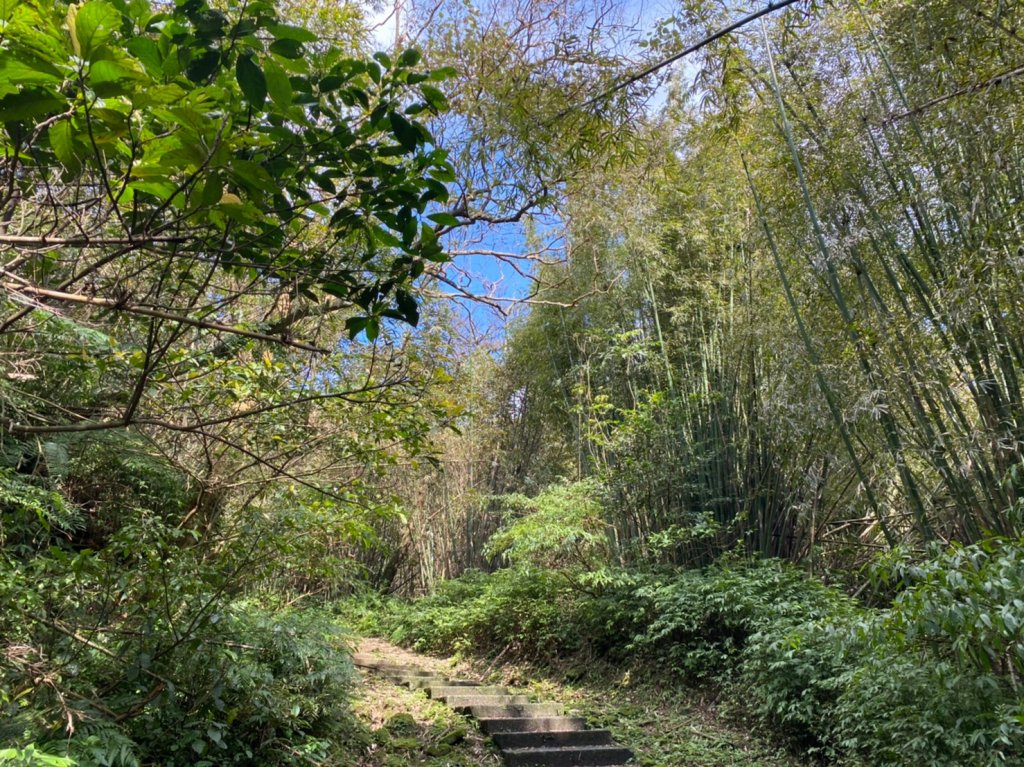 五分山步道封面圖