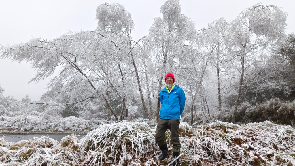 我的2025 第三場雪 #翠峰湖步道 #望洋山 #金翼白眉  2/9封面圖