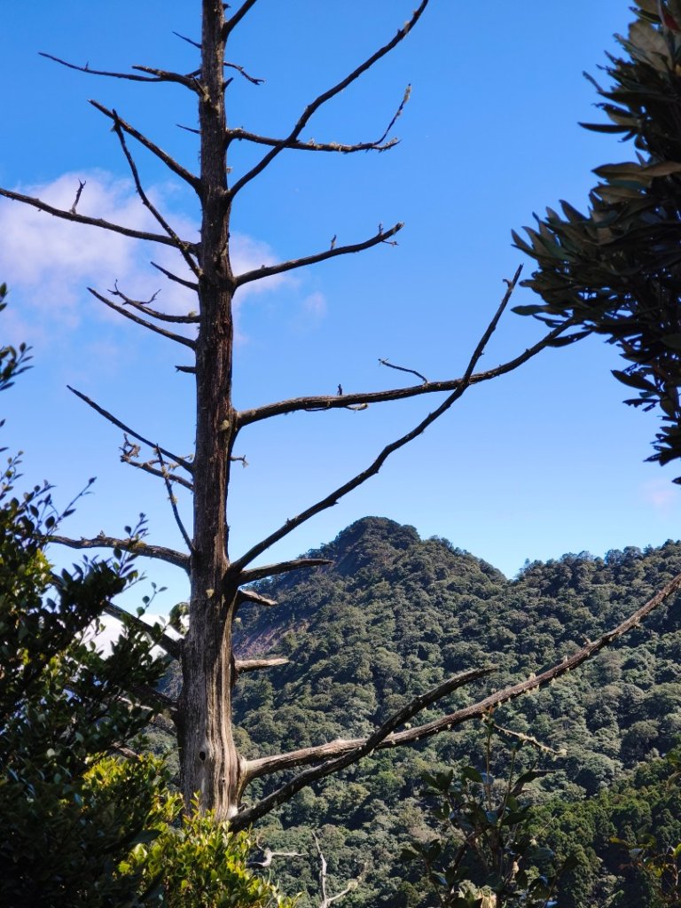 貴妃那結P 型縱走1131012_2621929