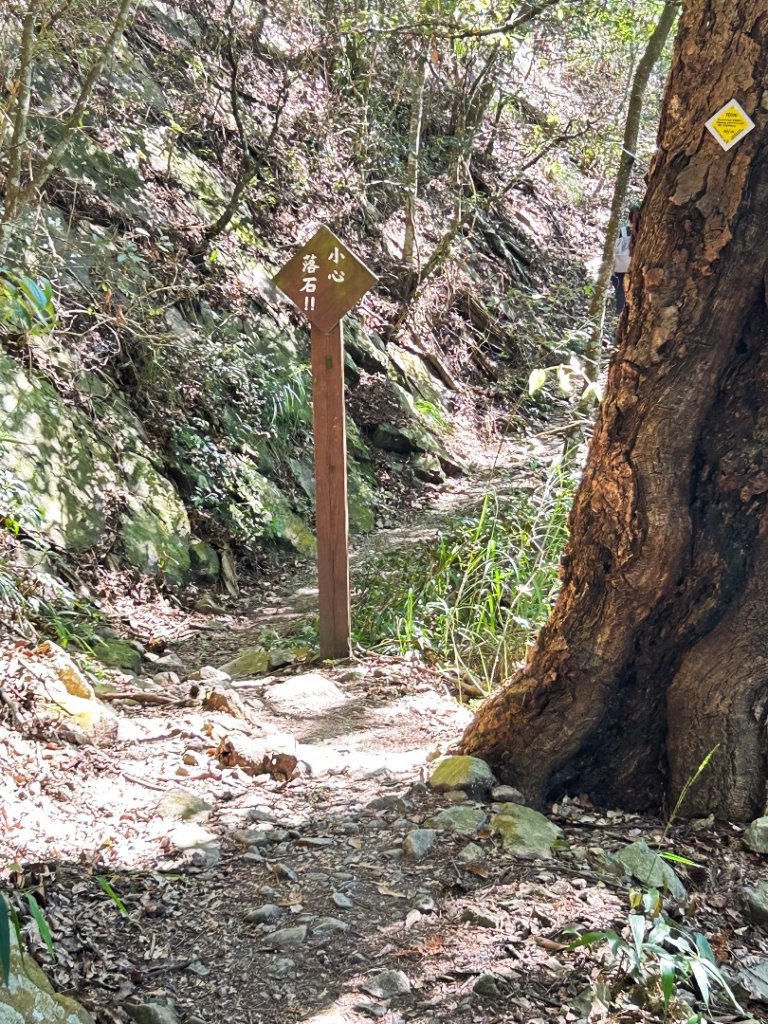 谷關-東卯山_2601400