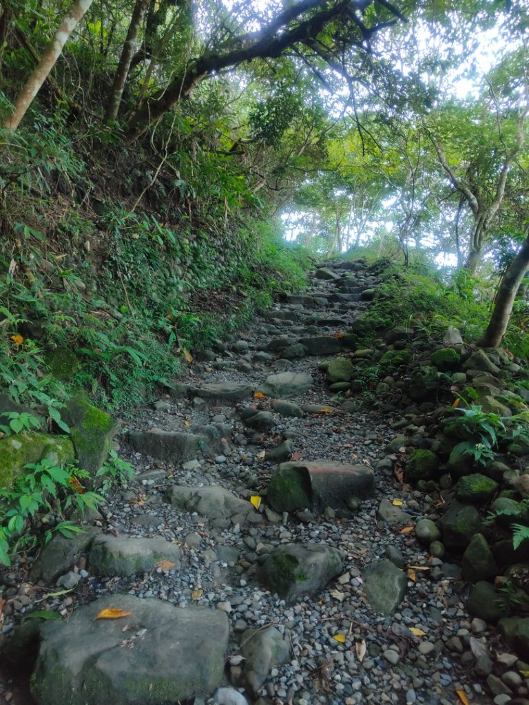 關仔嶺大凍山(夏季不要早上6點來、您會愛上這座山)封面圖