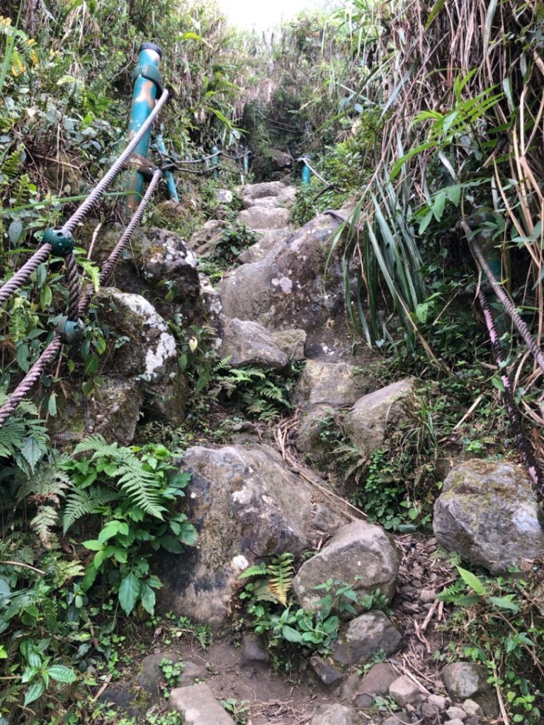 1090308大尖山_871862