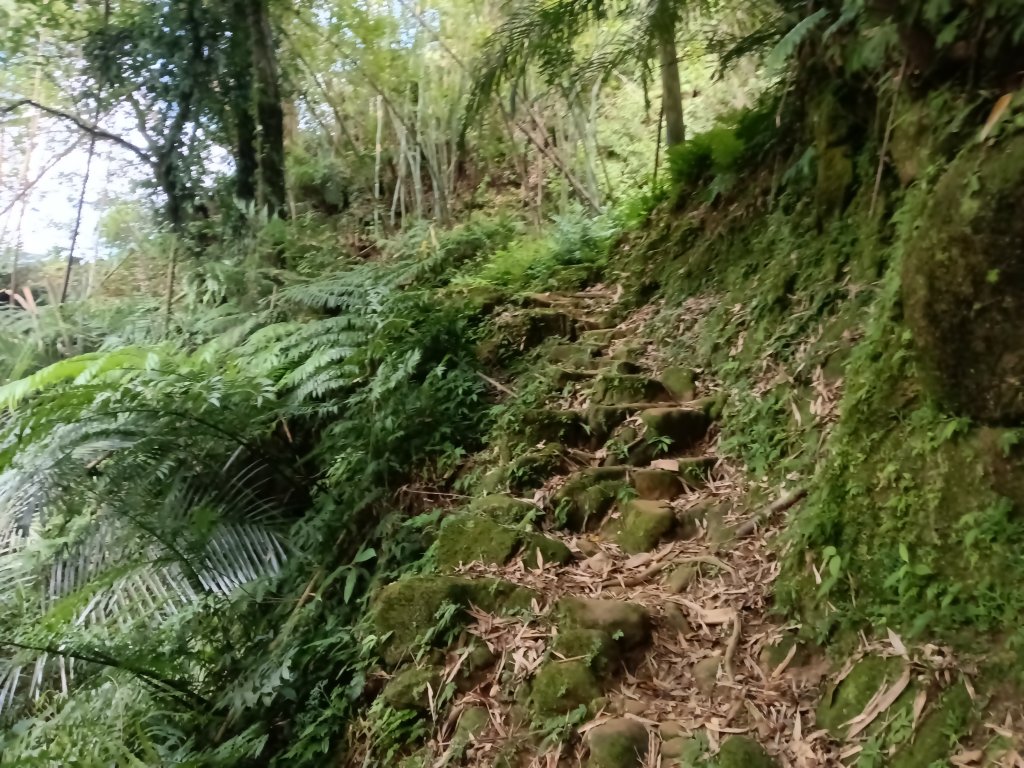 平溪區大華步道+幼坑古道+幼坑崙(大華車站-三貂嶺車站)_2925267